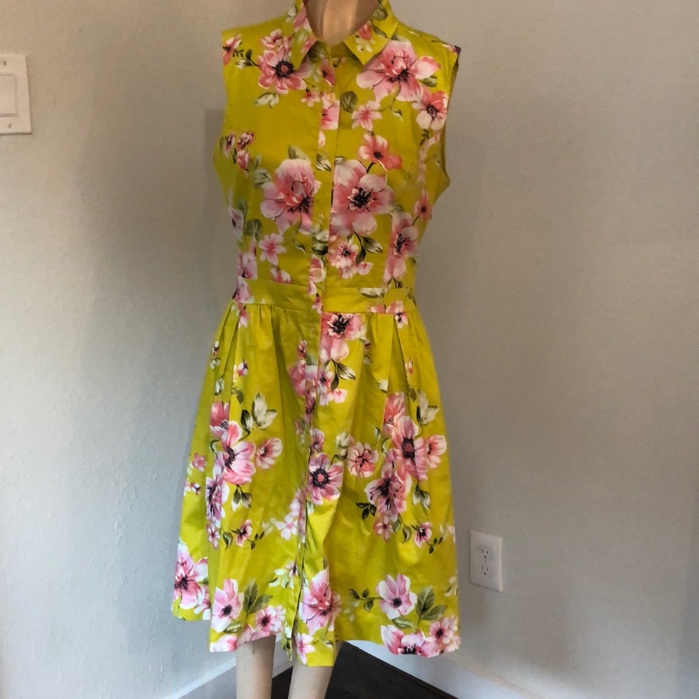 ABS Allen Schwartz button down dress medium EUC
